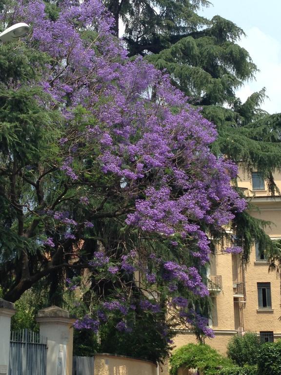 Room In Roma Isole Exterior foto